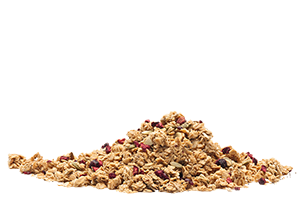 FelicitasGranola_naked_300x200